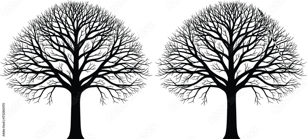 Fototapeta premium Symmetrical bare tree silhouettes, black vector illustration, winter tree design, nature symmetry artwork, botanical graphic, seasonal landscape icon