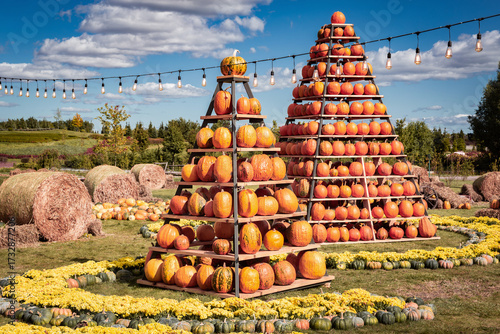 Pumpkin pyramids at the fall fair. Outdoor holiday decorations for Halloween, Thanksgiving and autumn celebrations. Fall harvest festivals in a city park or street.