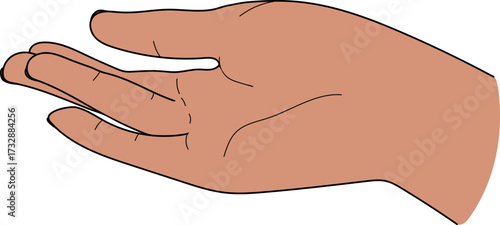 Female hand with part of forearm, palm up, isolated on white background