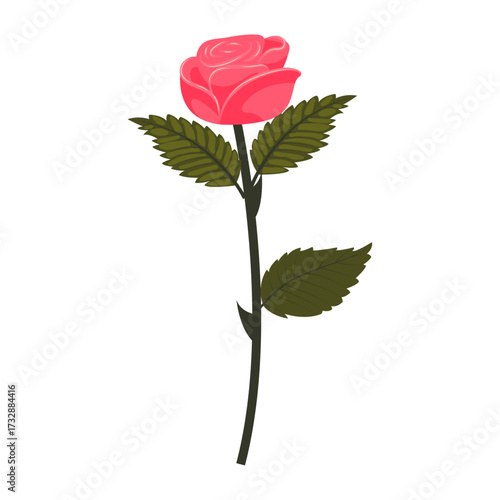 Bright pink rose. Flower on a slightly inclined stem. Vector illustration isolated on a white background.
