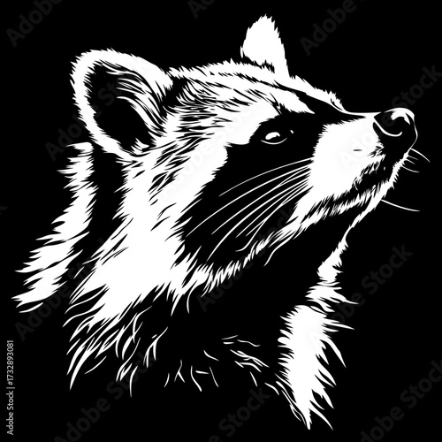 Stylized black and white illustration of a wild raccoon's head looking upwards, detailed graphic monochrome animal art