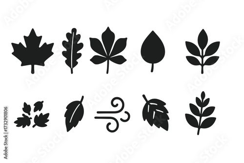 Autumn leaves silhouette icon set. seasonal foliage silhouettes collection.