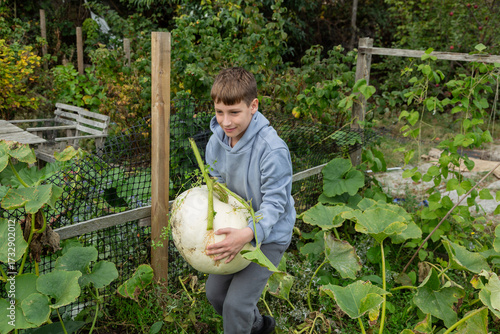 Young Person Lifting Large Ghost Pumpkin in Autumn Garden