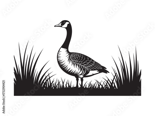 Canada goose silhouette in tall grass vector isolated on white background