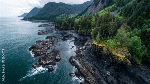 Alaskan coastline drone shot reveals Exxon Valdez oil spill impact