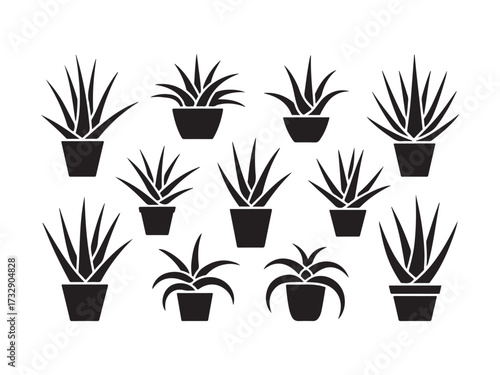 Collection of potted succulent plants silhouette vector isolated on white background
