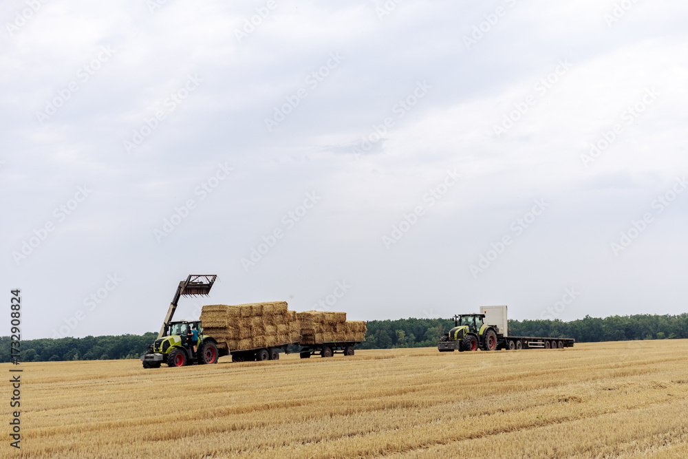 Obraz premium Tractors Transporting Straw Bales Across Fields Under Overcast Skies in Rural Landscape