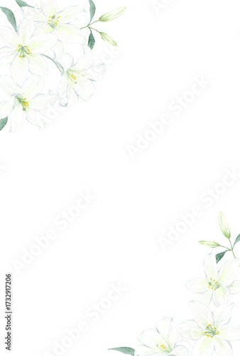 水彩で描いたカサブランカの花のフレーム　