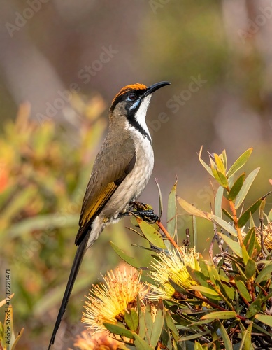 Small bird perched on vibrant bush