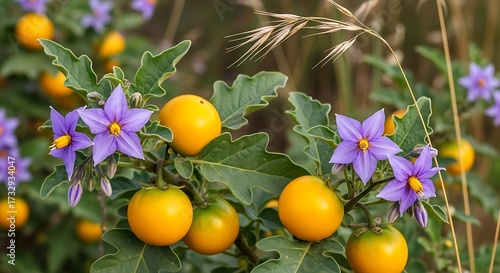 Yellow Fruits and Purple Flowers.