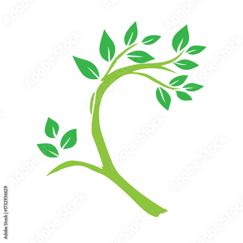 vector tree branch, vector leaves, vector leaf, vector tree