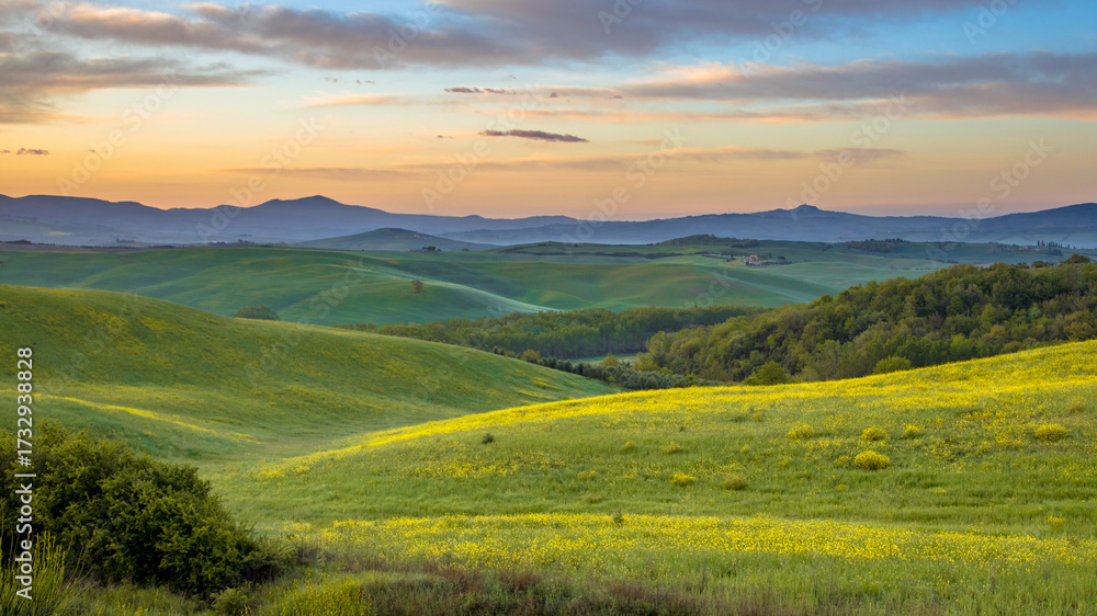 Fototapeta premium Vivid landscape Tuscany