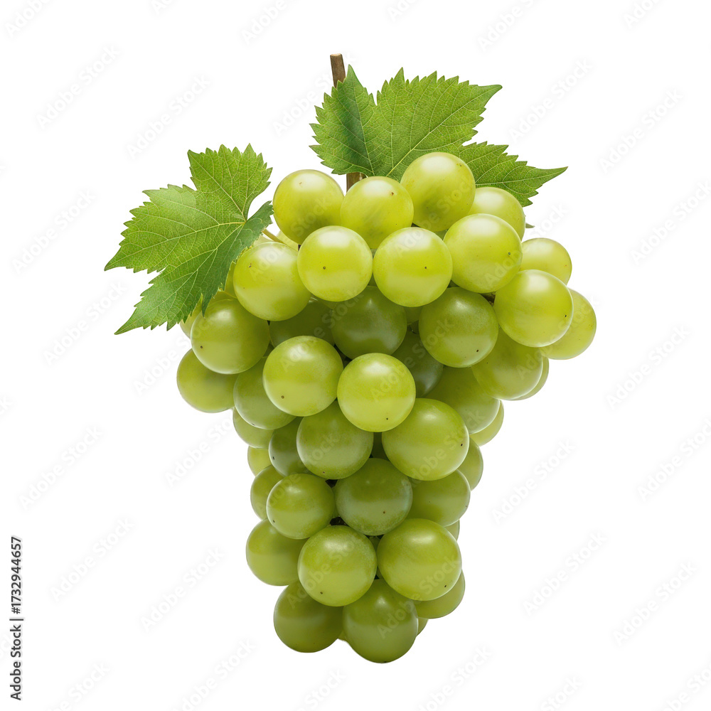 Obraz premium Bunch of Green Grapes Hanging with Fresh Leaves, Healthy Fruit Snack for Natural Food and Diet Advertising