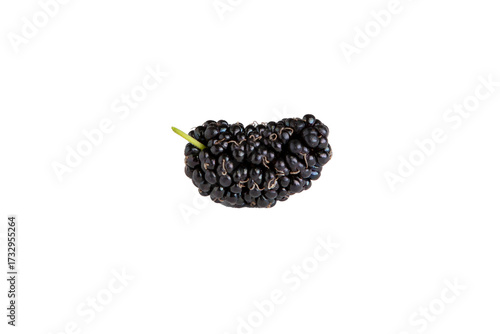 Amoras frescas isoladas