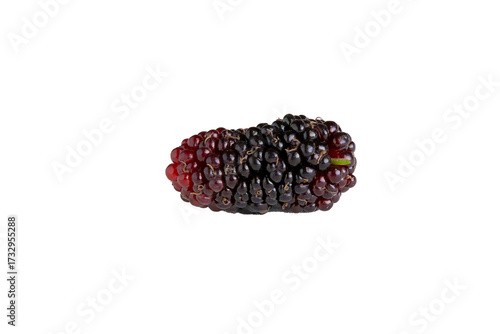 Amoras frescas isoladas