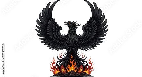 Majestic raven black bird rising from flames with outstretched wings on isolated background