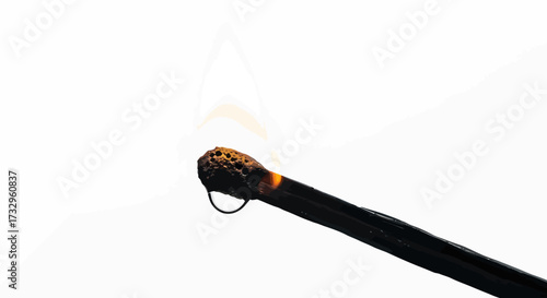 Macro capture of a matchstick igniting, showcasing the delicate balance of fire and potential energy