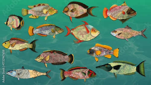 Map collage fish collection – creative vector set