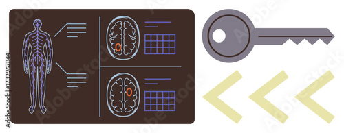 Human anatomy and brain scan diagrams linked to analysis data. Key and arrows symbolize access, security, and navigation. Ideal for healthcare, diagnostics, neurology, research, technology data