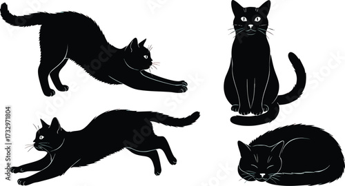 Four black cat silhouettes in different poses: stretching, sitting, running, and sleeping.
