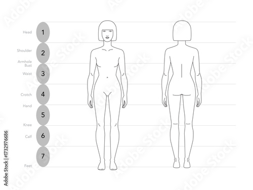 Vector illustration of a 7 head woman displaying multiple angles including front, and back. Perfect for fashion sketches, anatomy reference, and style design.
