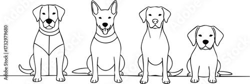 Line art illustration of four different dog breeds sitting, facing forward.