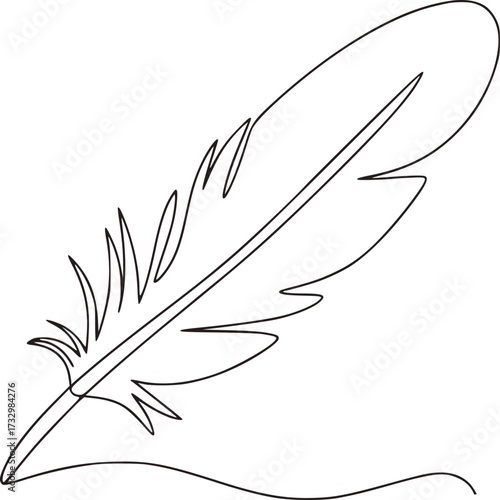 Black feather quill pen drawing writing
