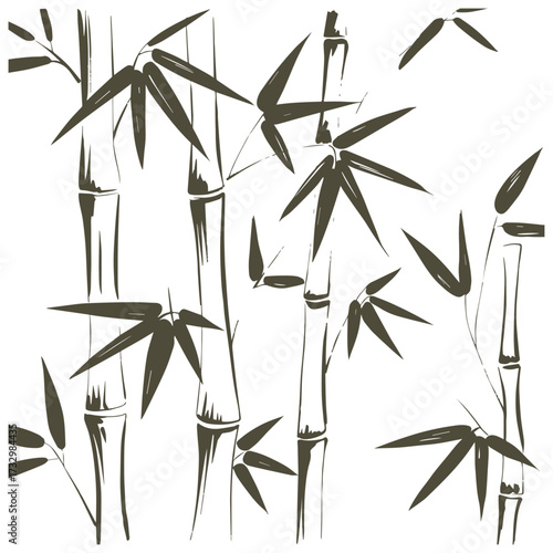 Dark green bamboo stalks and leaves on white illustration