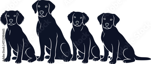 Four black Labrador retrievers sitting in a row, facing forward, in a line.