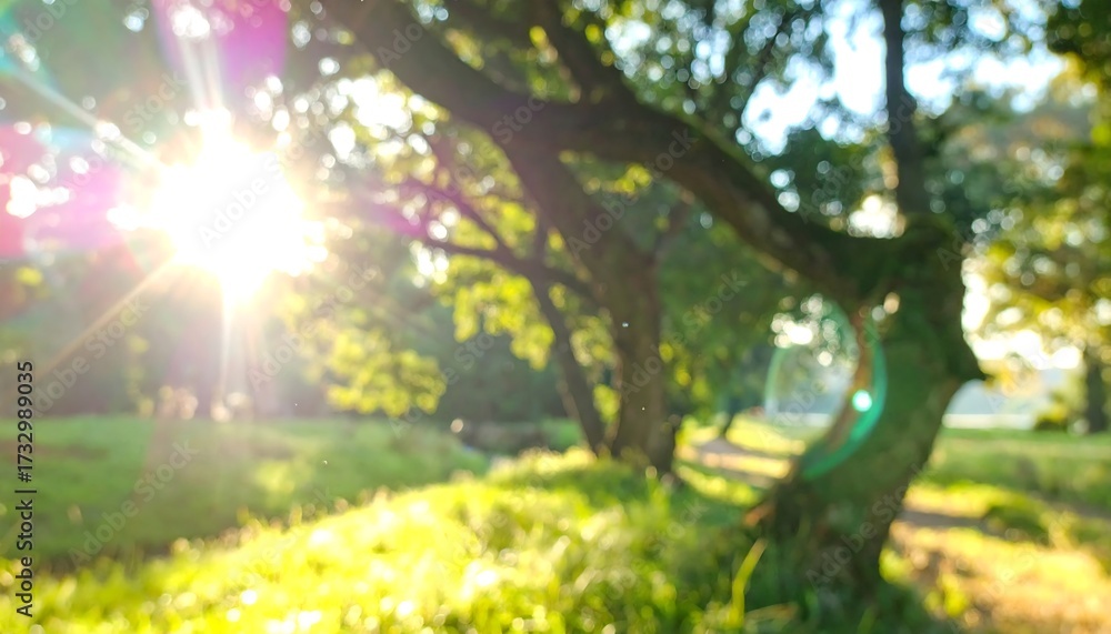 Obraz premium Sunlit park scene, blurred view