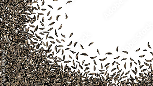 Cumin Seeds Backdrop Surface Decoration Vector