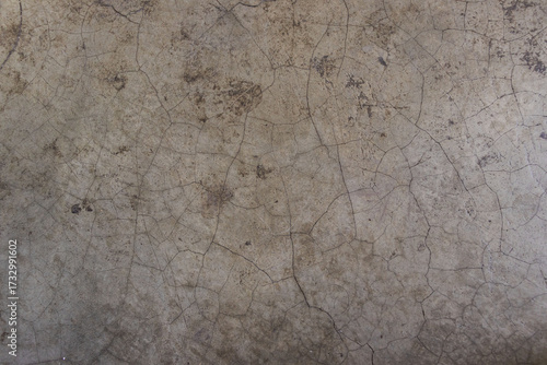 Old grayish-brown cement or concrete surface showing a dense network of fine cracks, crazing or fissures, and dark spots.