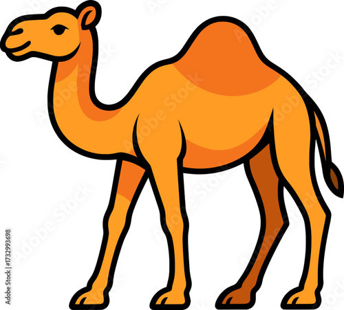 camel vector illustration