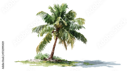 Tropical Coconut Palm Tree on White Background Vector Illustration