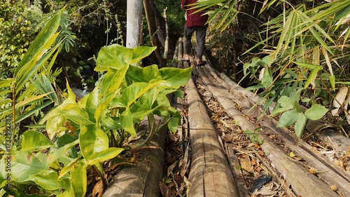 Person walking on a rustic bamboo bridge through a vibrant green forest, exploring the beauty of nature and finding peace during a sunny day adventure