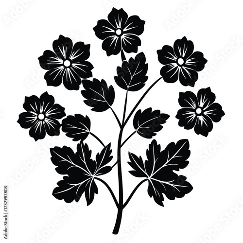 wild geranium plant flat silhouette vector on whit (1).eps