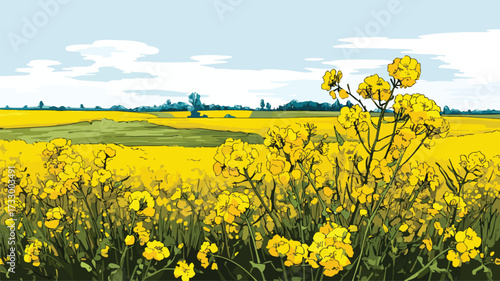 Vibrant Spring Canola Oilseed Field Meadow Blooming Flowers EPS Vector Illustration