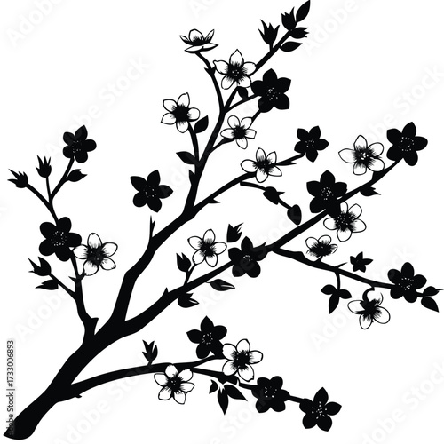 cherry blossom branch silhouette vector on white b.eps