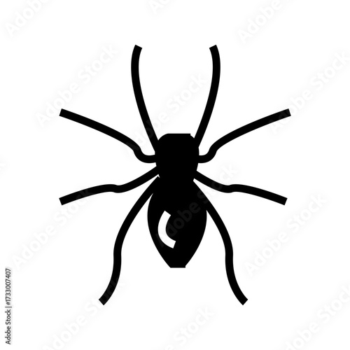 A wolf spider silhouette with detailed legs, symbolizing arachnids, Halloween themes, fear, and nature.