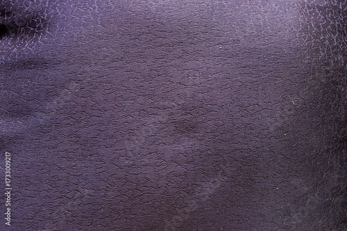 Smooth texture, dark purple or bluish black in color, with a wet and shiny appearance.