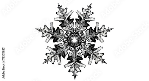 Intricate black and white snowflake illustration with symmetrical crystal details and star center