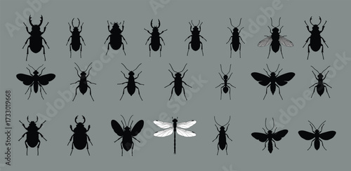 Insect silhouette collection, diverse species grid, black vector icons, beetles dragonflies flies, entomology reference, biodiversity morphology design