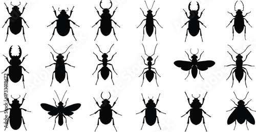 Insect silhouette collection, species grid icons, black vector set, beetles flies dragonflies horned bugs, entomology morphology taxonomy design