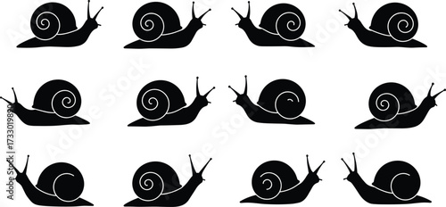 Snail silhouettes, spiral shell variations, black vector grid, mollusk icons, crawling creatures, nature design, biology reference, symmetrical layout, garden animals