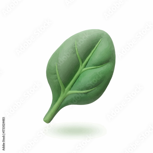 Fresh green spinach leaf isolated vector illustration healthy food ingredient scalable graphic