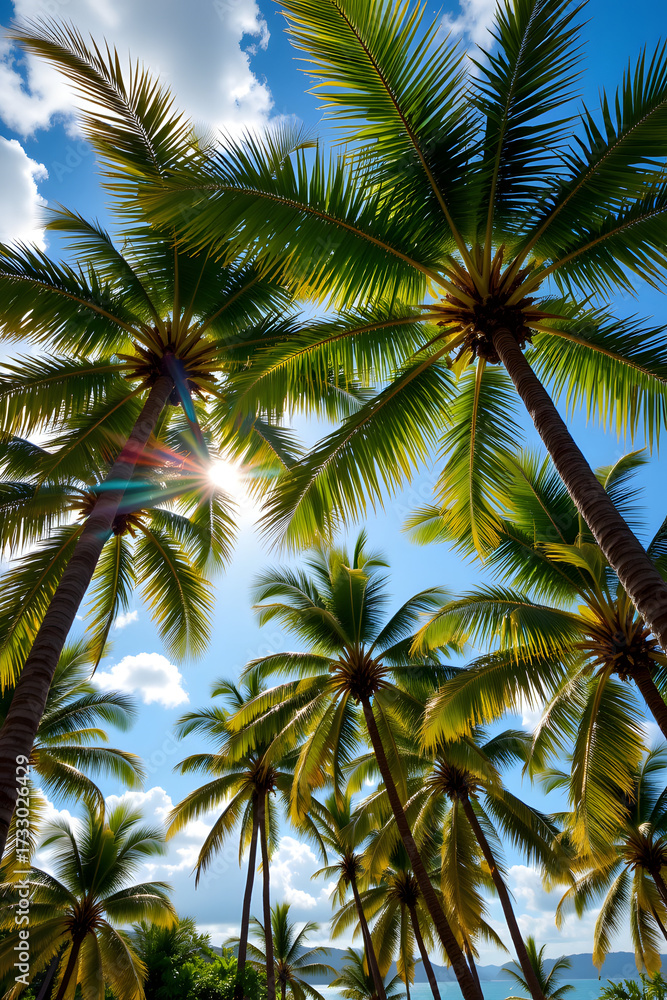 Fototapeta premium Lush Tropical Palm Trees with Sunny Sky Scene