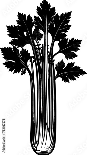 Silhouette of a celery stalk