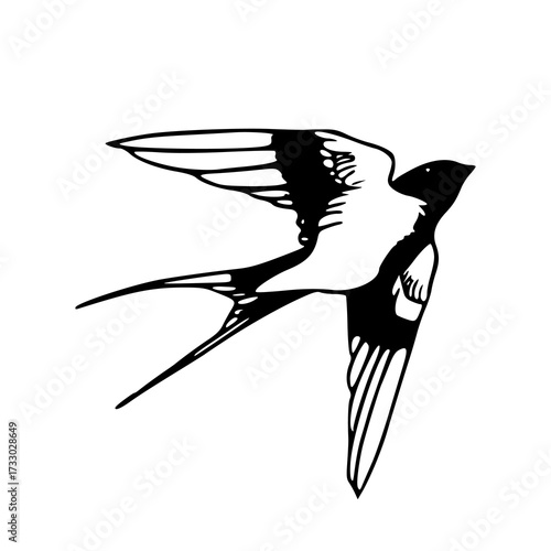 graceful flying bird engraving style drawing