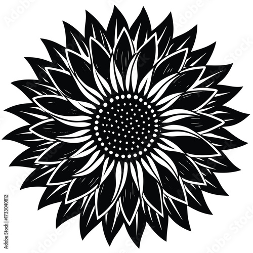 sunflower head vector illustration on white backgr.eps
