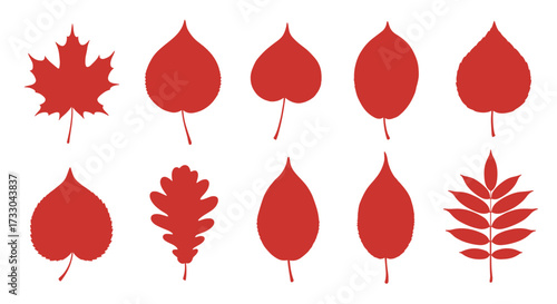  Red Leaf Collage: Nature’s Palette of Autumn Spades
